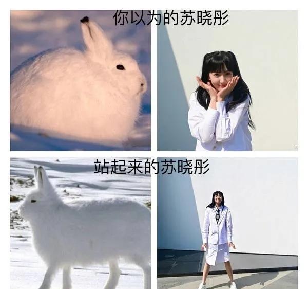 苏晓彤全身照