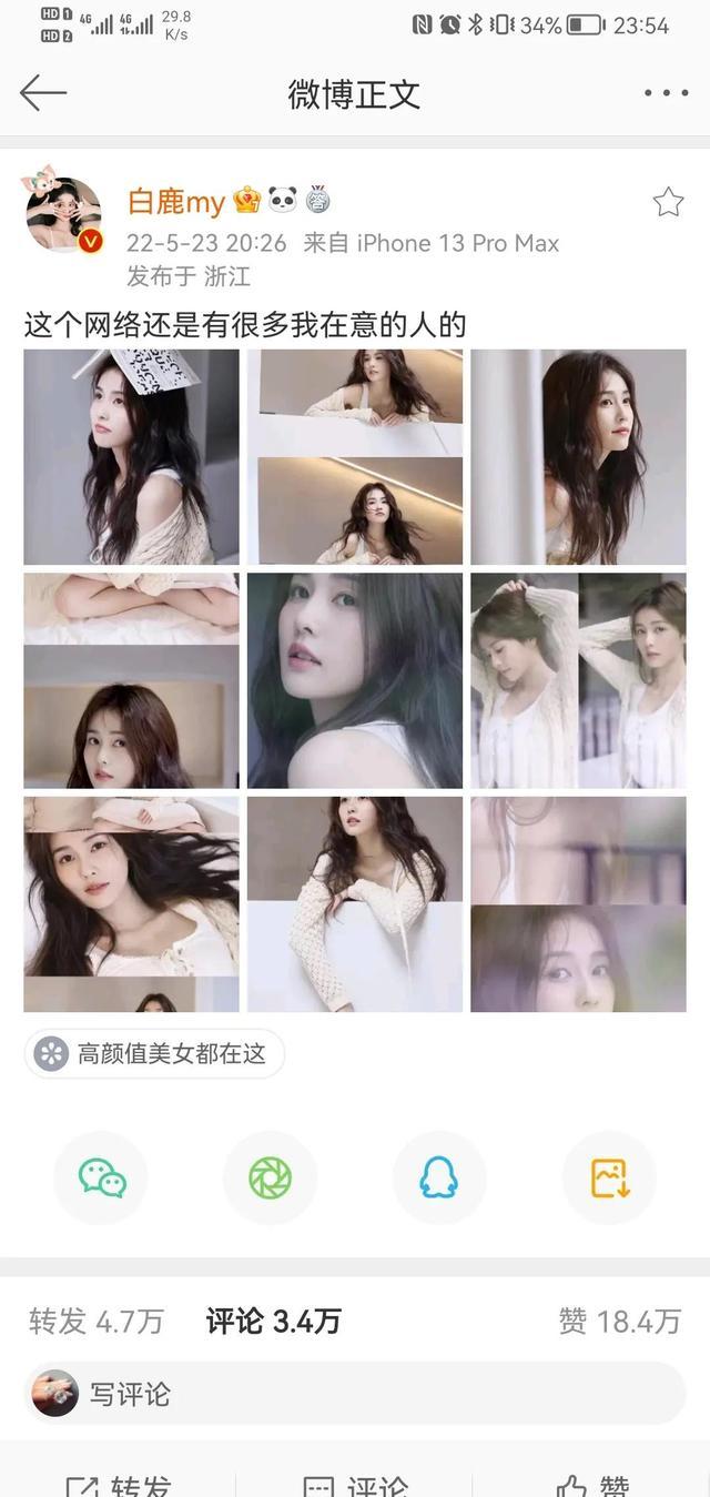 白鹿美照