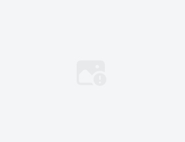 标签与栏目示例